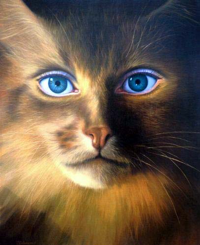 Bonjour et bon mardi � tous !